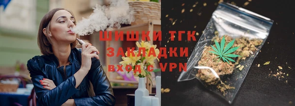 spice Богданович