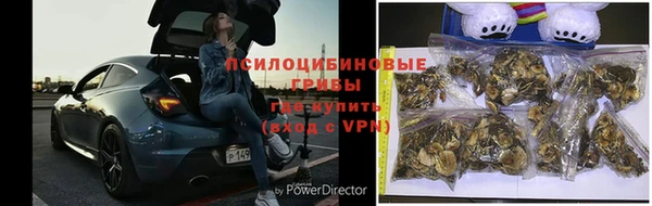 экстази Богородск