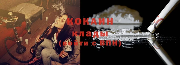 spice Богданович