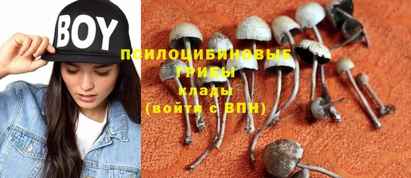 соль курить ск Белокуриха