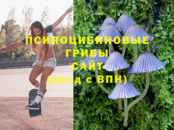 spice Богданович