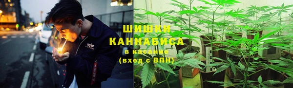 spice Богданович