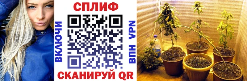 Конопля OG Kush  Купить  Озёрск 